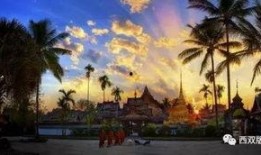 西双版纳最新爆料,探寻热带雨林的神秘魅力